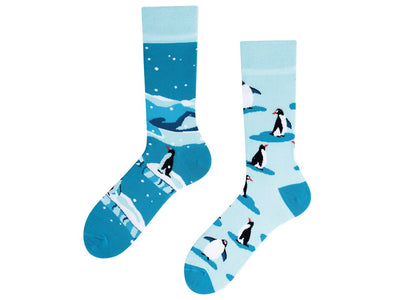 Penguin socks | cute penguin socks | cute socks | funny socks | blue socks with motif | TODOSOCKS