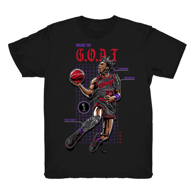 Youth 4 Raptors shirt | The Goat - Retro 4 Raptors tee shirts